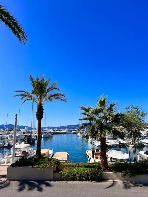 Appartement Palais Des Festivals Croisette Cannes